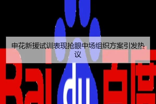 申花新援试训表现抢眼中场组织方案引发热议
